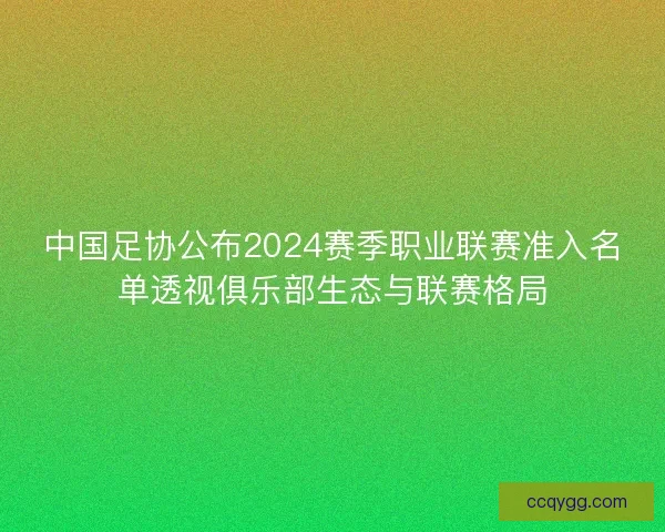 中国足协公布2024赛季职业联赛准入名单透视俱乐部生态与联赛格局